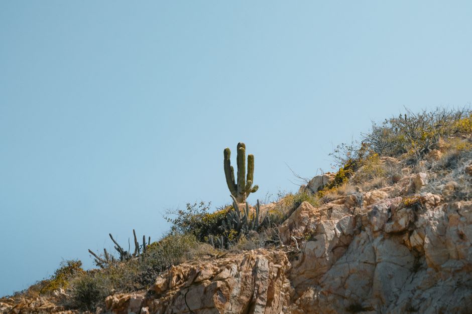 Interior de una pequeña fonda en La Rumorosa, vapor subiendo de una olla de barro con birria sobre una estufa de leña
