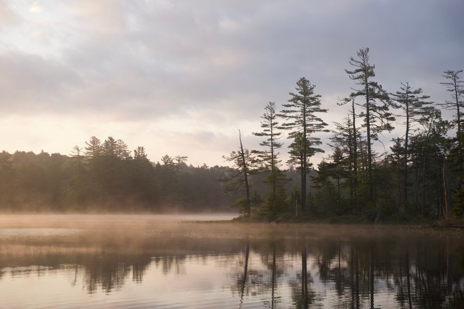 Laguna Hanson al amanecer con niebla sobre el agua y el pino y granito circundantes bajo la luz temprana, el lago quieto y vacío