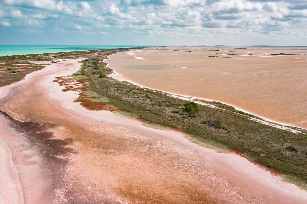 Les marais salants roses de Las Coloradas avec un petit bateau au premier plan et de la végétation côtière basse à l'horizon