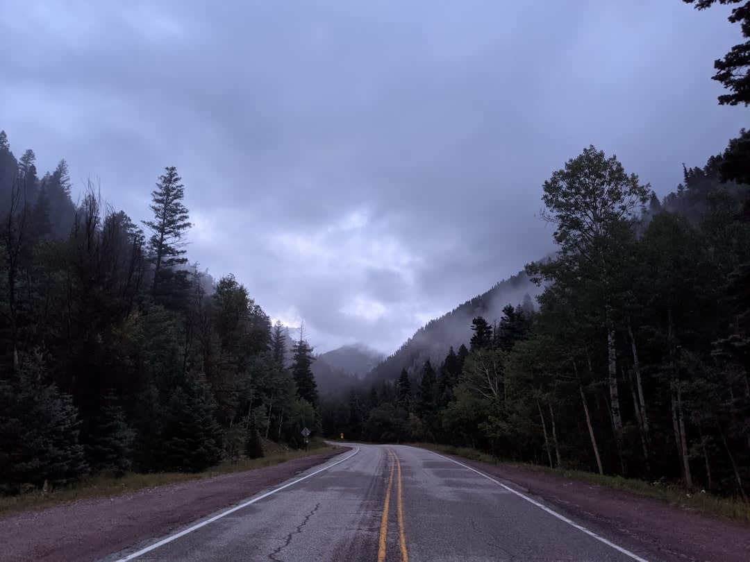 La carretera del bosque nuboso a través de las montañas sobre San José del Pacífico, el bosque de pinos envuelto en niebla, el camino serpenteando entre la nube con visibilidad reducida a treinta metros, el mundo desapareciendo en gris arriba y abajo