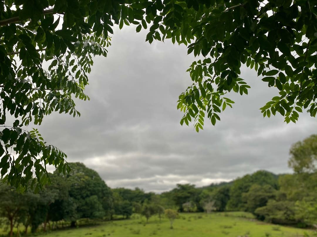 Un tinacal de hacienda pulquera cerca de Singuilucan, vasijas de madera con aguamiel en fermentación, un tlachiquero sacando savia del corazón de un maguey con un largo acocote en las llanuras altas y frías