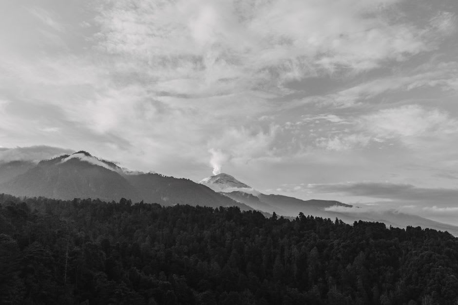Oyamel fir forest on the slopes above Tlalmanalco with morning mist threading through the trees