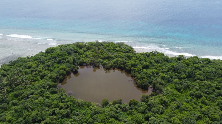 View from Bloody Nose Ridge over Peleliu's jungle canopy toward the lagoon and reef beyond
