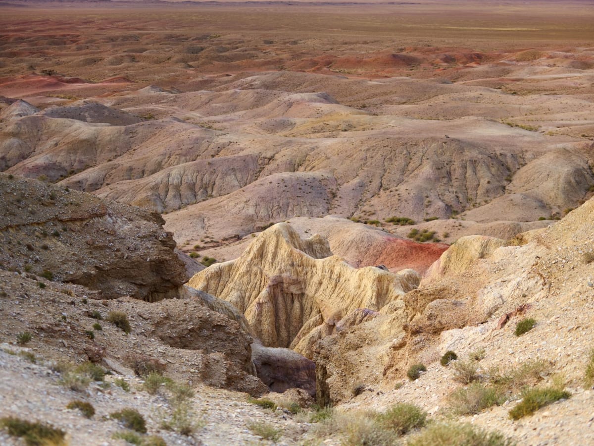 A family of Bactrian camels crossing stony Gobi terrain, a low mountain ridge visible in the distance at dusk