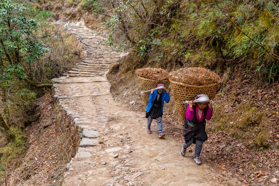 Fila de frontales de senderistas subiendo los escalones de piedra hacia Poon Hill antes del amanecer