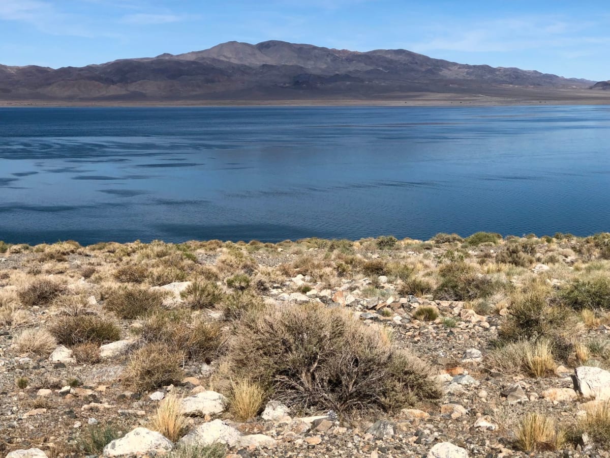 De pâles tours de tuf s'élevant du rivage de Pyramid Lake avec l'eau bleu profond et les collines arides derrière