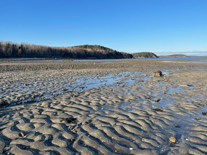 Wooden rowboats resting on the exposed sandbar between Bar Harbor and Bar Island at low tide