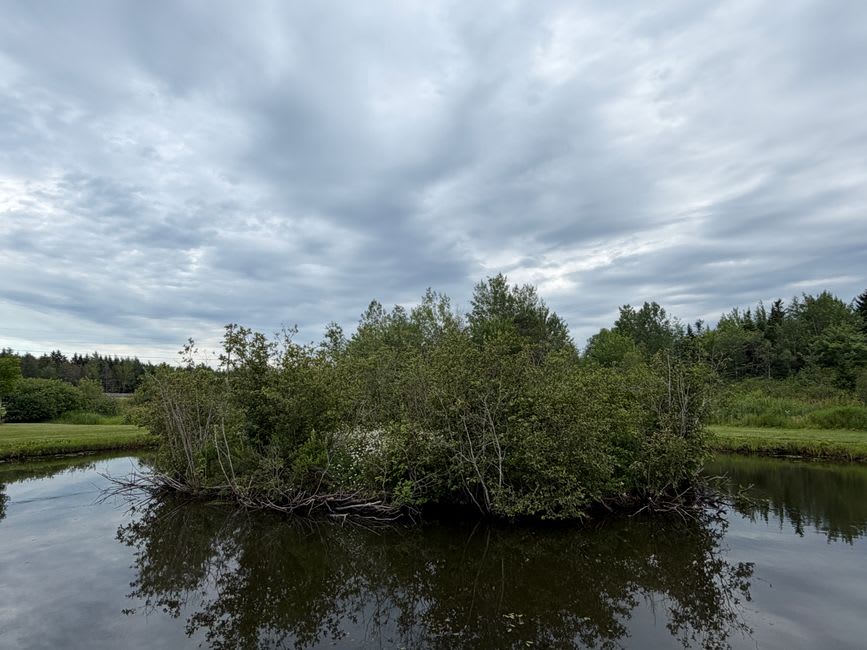 The flat reclaimed marshland of the Grand Pré dykelands stretching toward the horizon