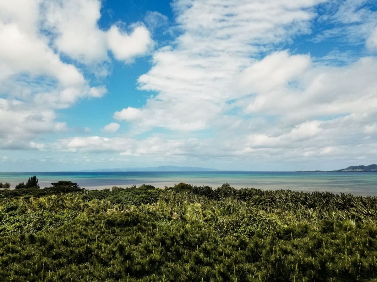 Murs courbes en calcaire des ruines du Château Nakijin sur une colline verte, Péninsule de Motobu, nord d'Okinawa, la mer visible au loin