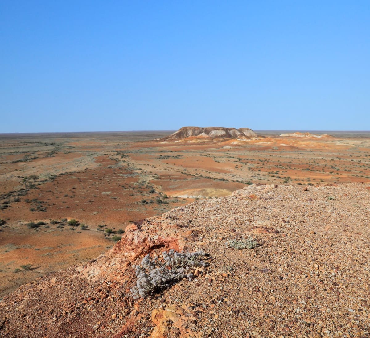 El paisaje lunar del campo de ópalos de Coober Pedy — montículos pálidos de escombros de minas que se extienden hasta el horizonte bajo un cielo azul abrasador
