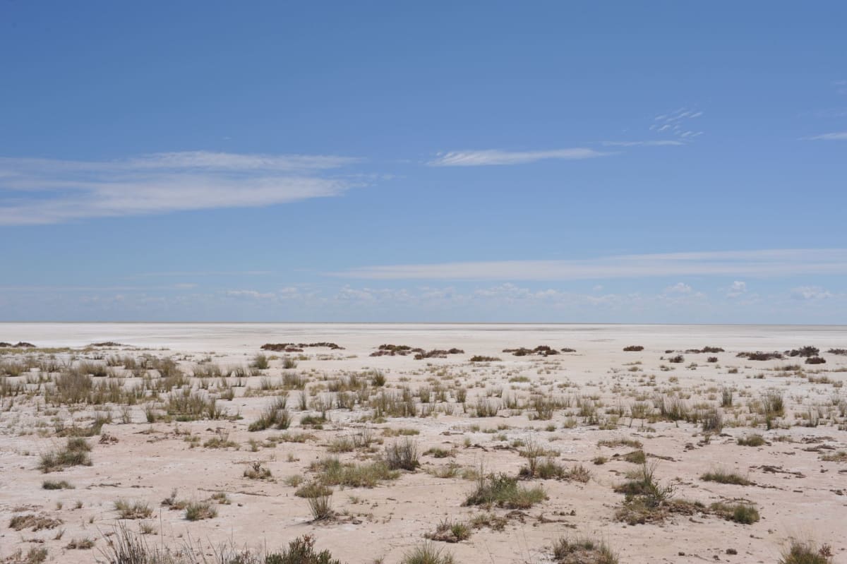 La superficie de cristales de sal de Kati Thanda en primer plano, polígonos hexagonales captando la luz de la tarde en sus bordes, la orilla lejana un espejismo de calor