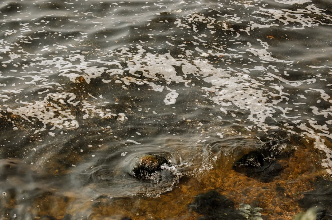 Agua y gas burbujeando a través del barro en un manantial artesiano de montículo cerca de William Creek