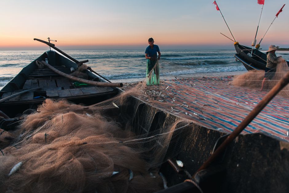 Small wooden fishing boats, pangas, lined up on the beach at Santa Catalina at dawn