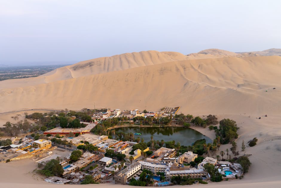 Sunset casting long shadows across rippled sand dunes