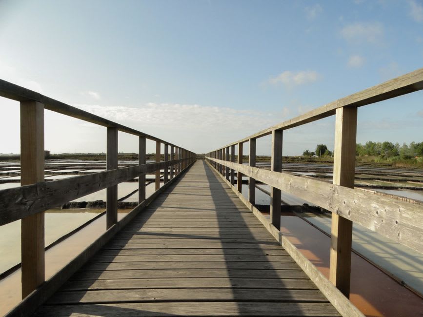 Salt pans reflecting the sky near Aveiro's lagoon, with mounds of harvested white salt