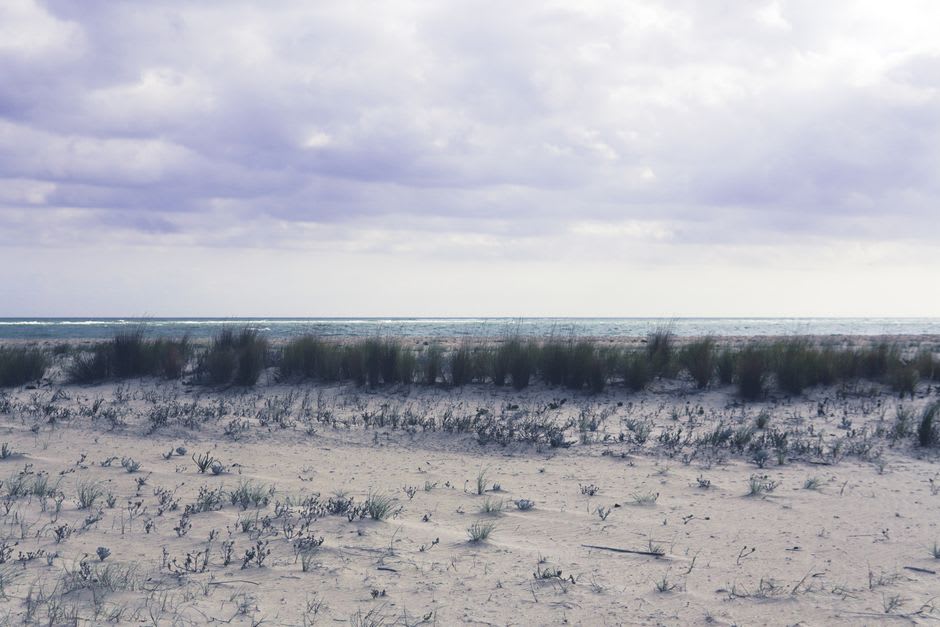 Plage de sable vide adossée à une forêt de pins et des dunes près de Caminha à marée basse