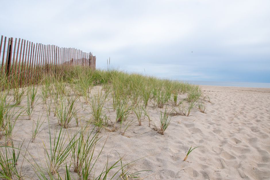 Empty white sand beach on the Atlantic side of Culatra Island with dunes and sparse vegetation