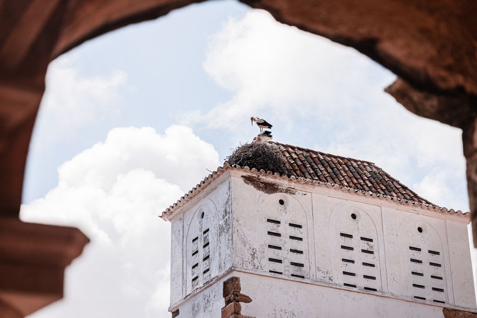 Stork nest atop the ruined tower of Idanha-a-Velha's ancient cathedral against a blue sky