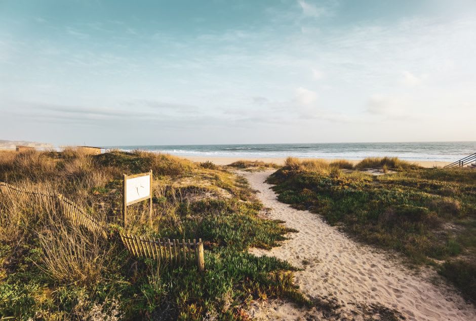 Wild Atlantic beach at Melides with dune grass in the foreground and no visible crowds