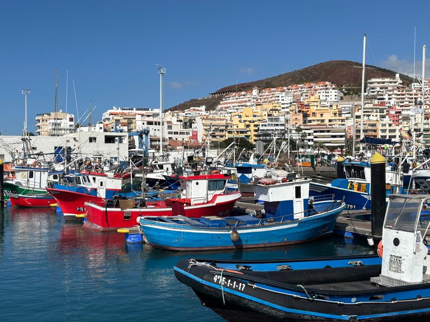 Marina and waterfront promenade in Ponta Delgada with fishing boats and the city skyline behind