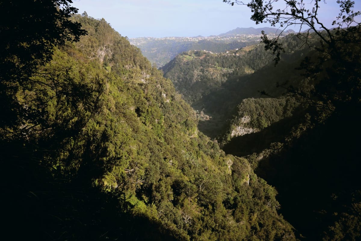 View from the ridge trail above Talasnal, valley and eucalyptus forest stretching west toward Coimbra