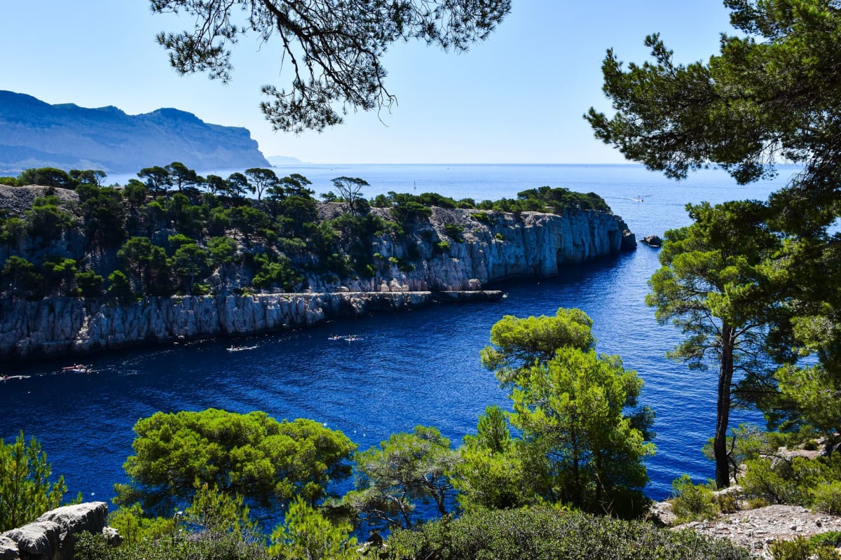 The fishing harbour of Cassis at golden hour, the old village rising behind the boats, Cap Canaille's cliffs glowing amber