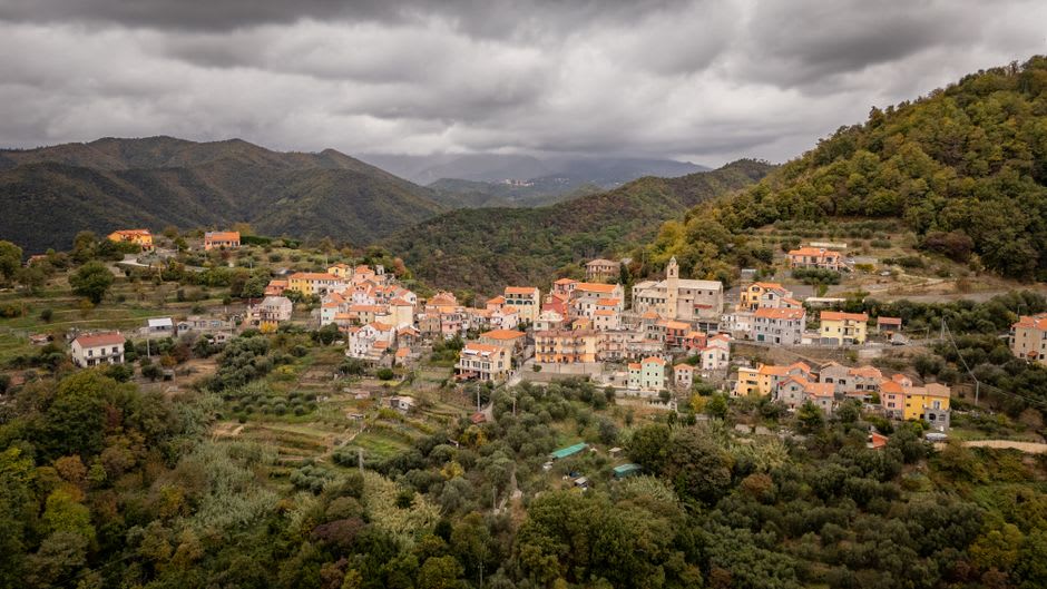 Hileras de viñas de Primitivo a las afueras de San Marzano di San Giuseppe bajo un amplio cielo del Salento