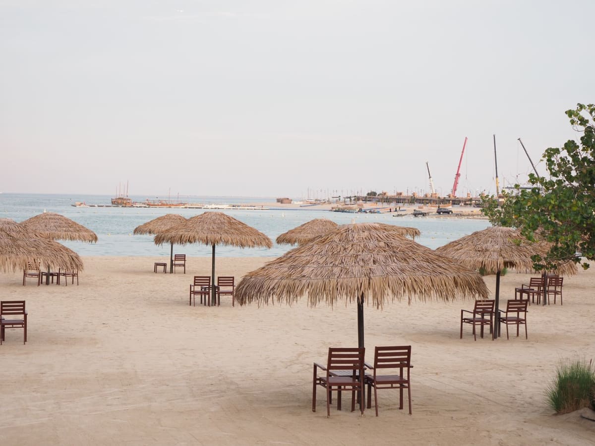 Flamencos de pie en las aguas mareales poco profundas del Khor Al Adaid al amanecer con las dunas elevándose detrás de ellos