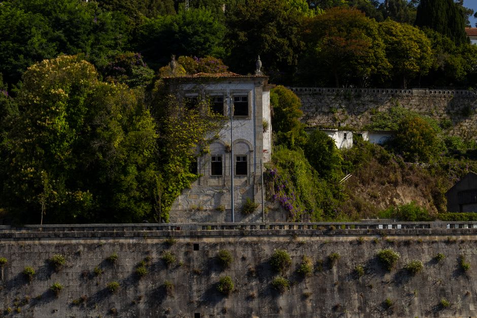 Maison d'immigrés en pierre et en bois au milieu des rangées de vignes dans le Vale dos Vinhedos