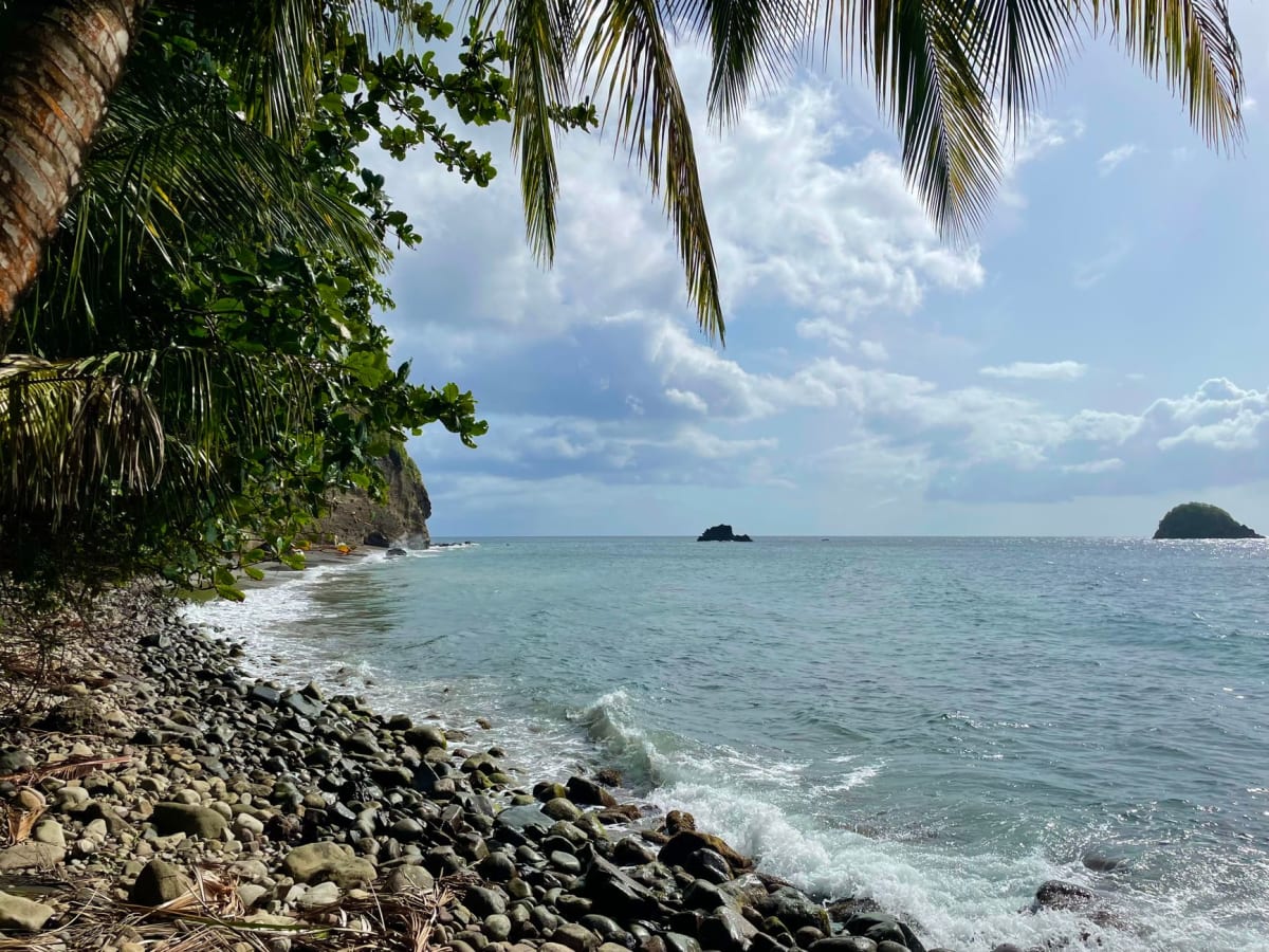 Buceador sobre el arrecife de coral en Anse Chastanet, el paisaje submarino colorido y denso de peces de arrecife, luz turquesa filtrándose desde arriba