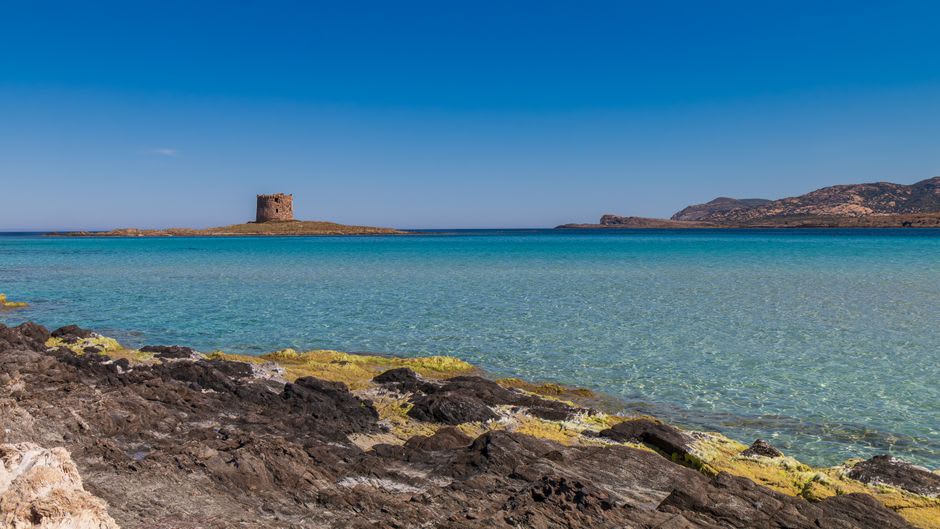 The Aragonese watchtower standing in the shallow turquoise water of Spiaggia della Pelosa near Stintino