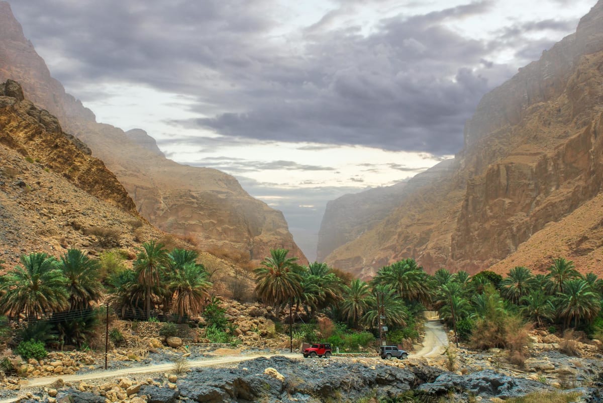 Cañón profundo de arenisca roja con oasis de palmeras en Wadi Al Disah