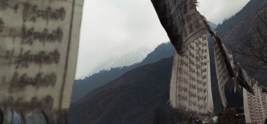 Prayer flags strung along the forested shore of Khecheopalri Lake