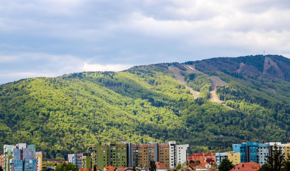 Hiking trail through dense spruce forest on the Pohorje massif above Maribor