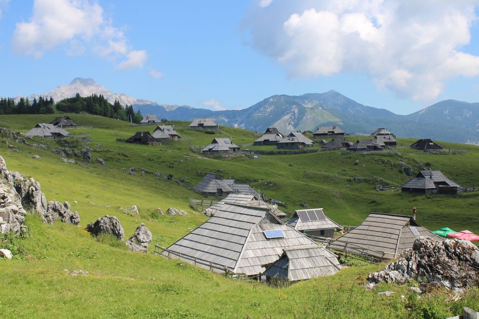 Cattle grazing on the open grassland of Velika Planina with the Kamnik Alps rising behind
