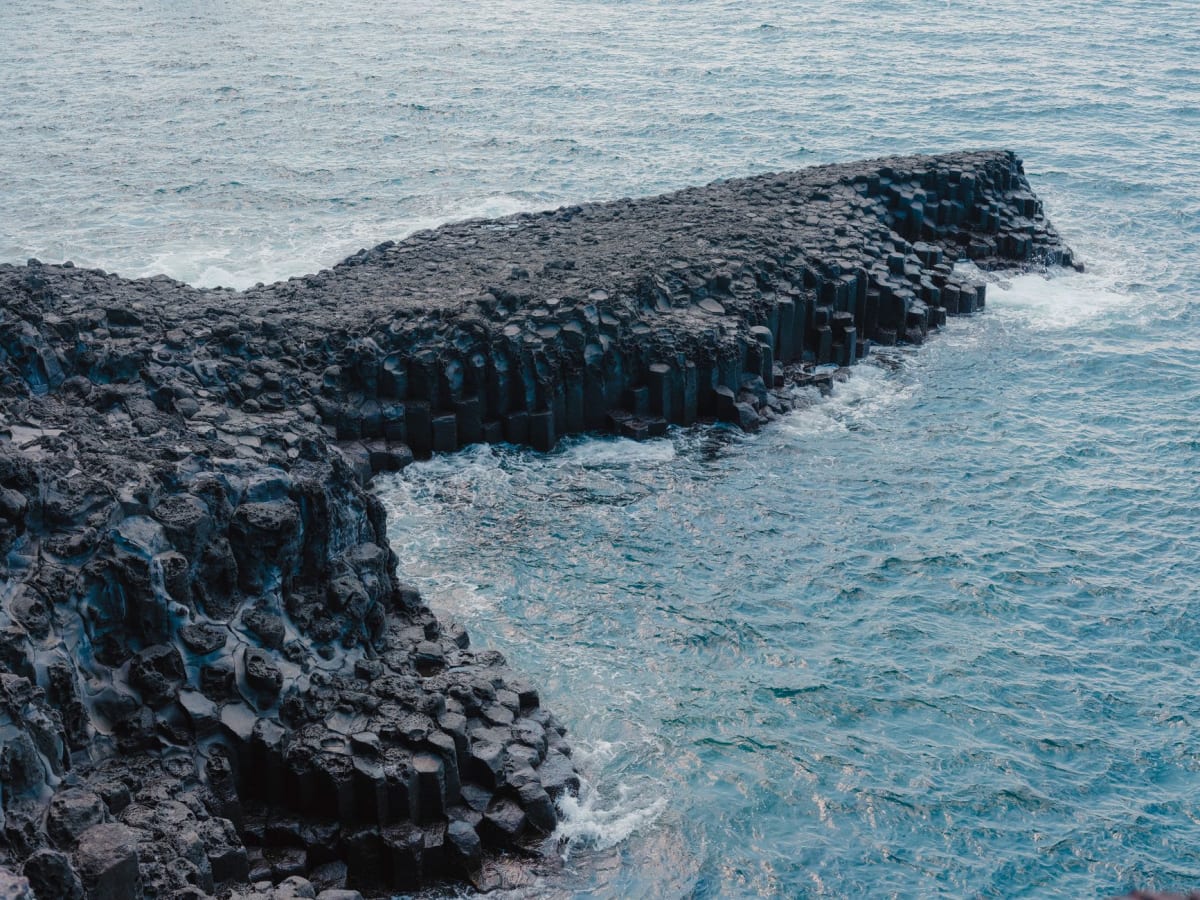 A low-tide basalt platform on Jeju's coast — dark hexagonal columns leading to green tidal pools, the sea pale blue beyond