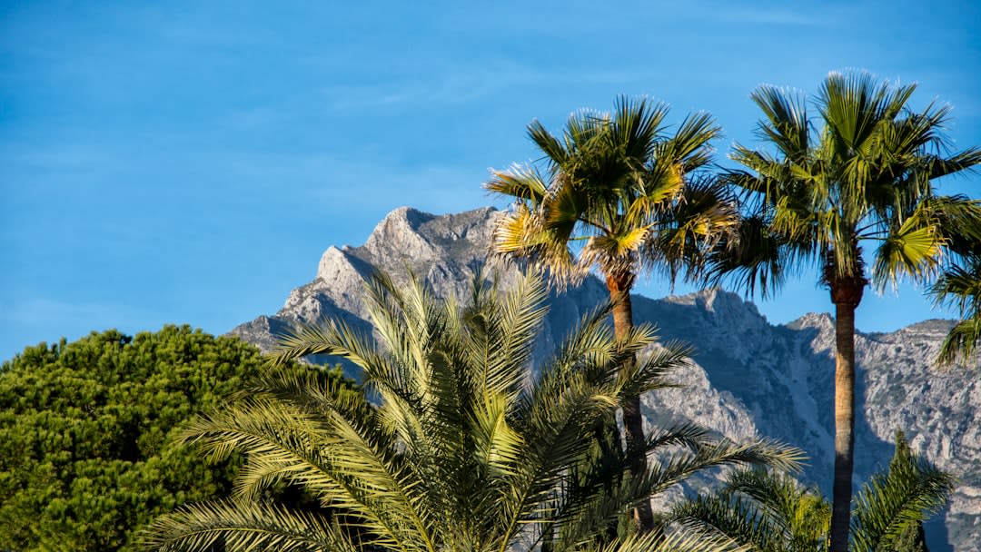 Le paseo marítimo de Marbella au coucher du soleil avec les montagnes de la Sierra Blanca en arrière-plan