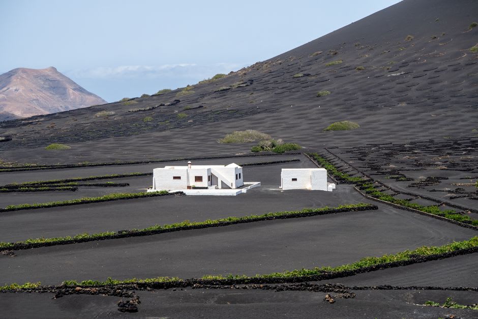 Interior de la casa de César Manrique construida dentro de una burbuja de lava volcánica, con una piscina y paredes blancas contra la roca negra