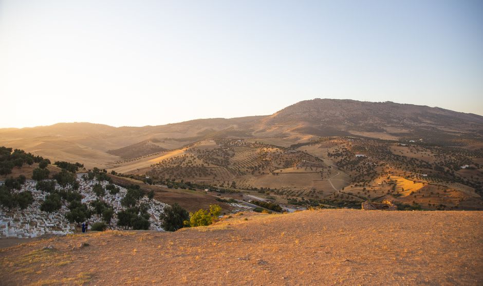 Terraced green hillsides and fruit orchards in the Jebel Marra highlands west of Nyala, mist settling over the ridgeline