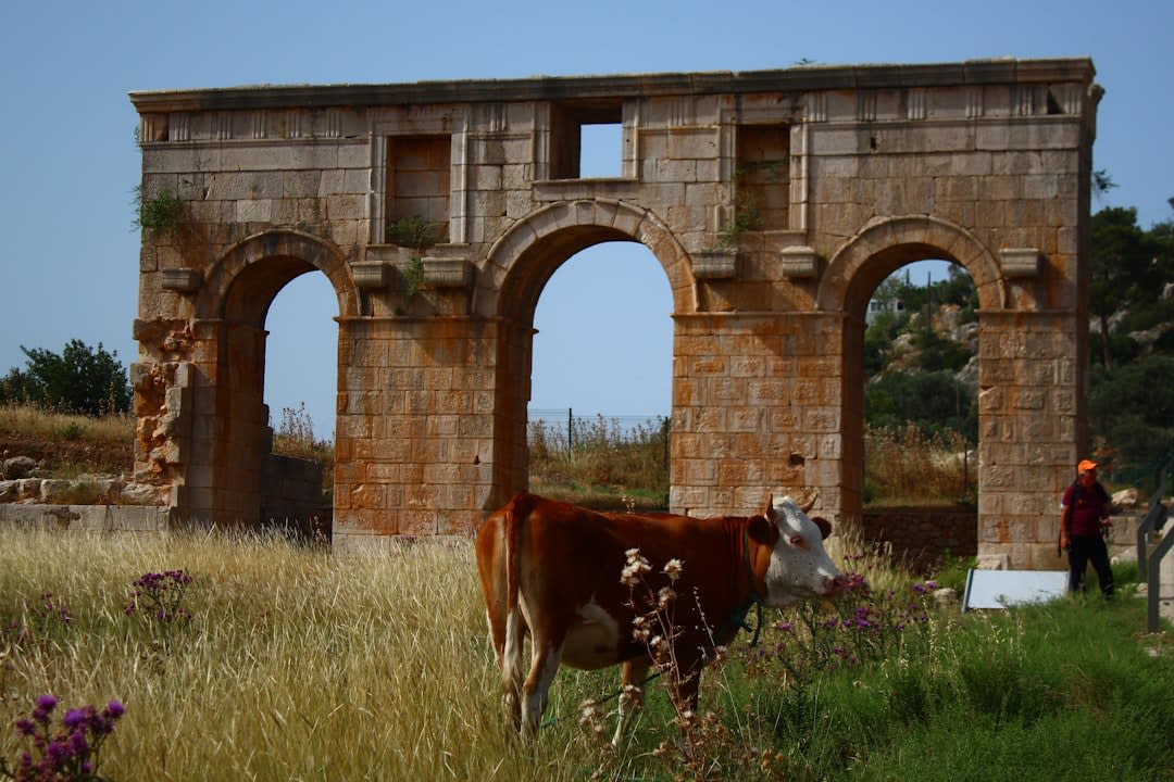 The ancient triumphal arch at Patara with dunes visible in the background