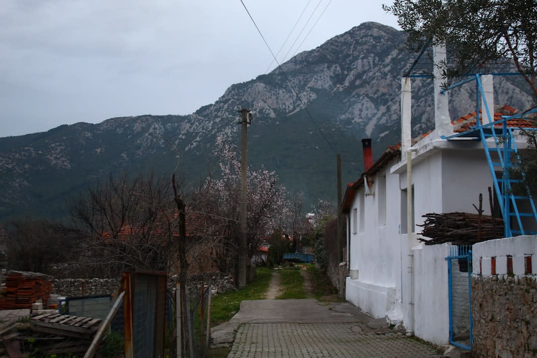Coral-stone lane in Al Fahidi lined with restored wind-tower merchant houses