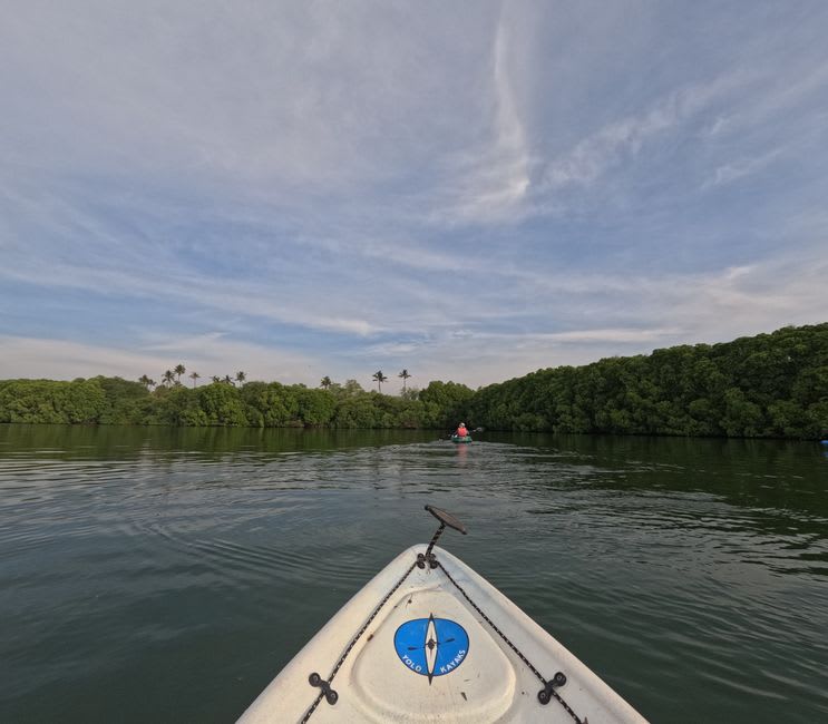 Kayak gliding through calm mangrove channels near Al Sinniyah Island at Umm Al Quwain