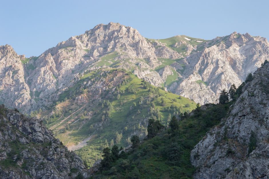 Hiking trail through pine trees with mountain peaks visible above Chorvoq