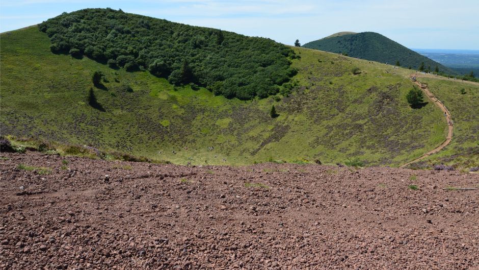 Le fond verdoyant du cratère de la réserve volcanique de Tower Hill près de Warrnambool, avec de la brousse native et des kangourous en train de brouter