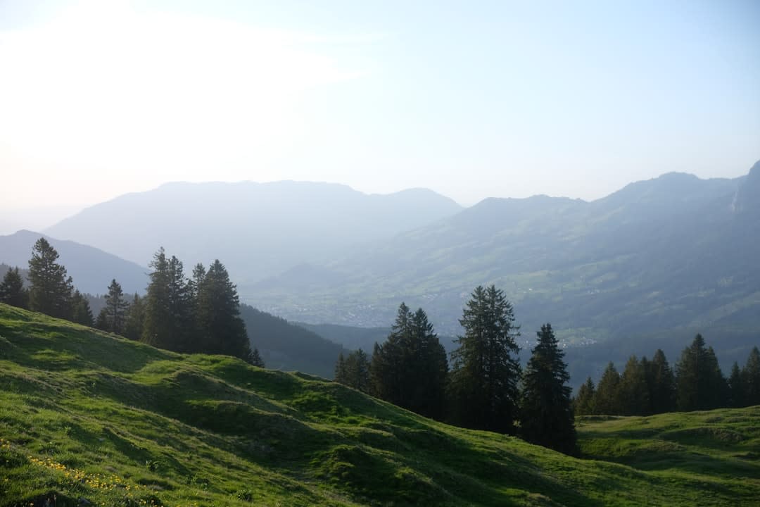 Snow-capped Tianshan peaks rising above the wide green expanse of Nalati grassland
