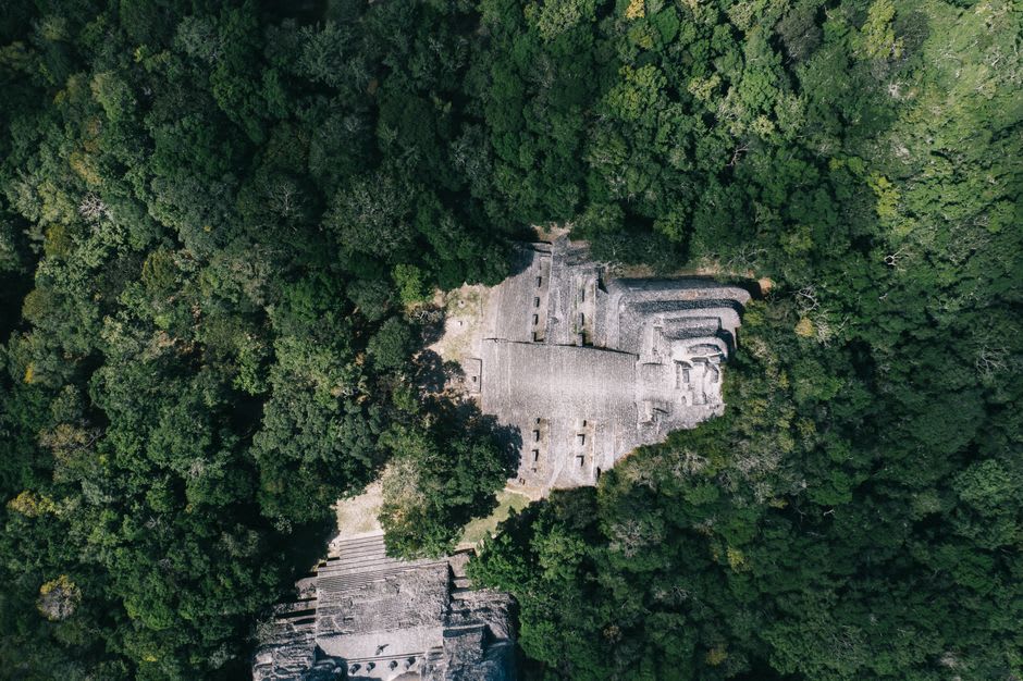 Panoramic jungle canopy view from the top of Ek Balam's main pyramid
