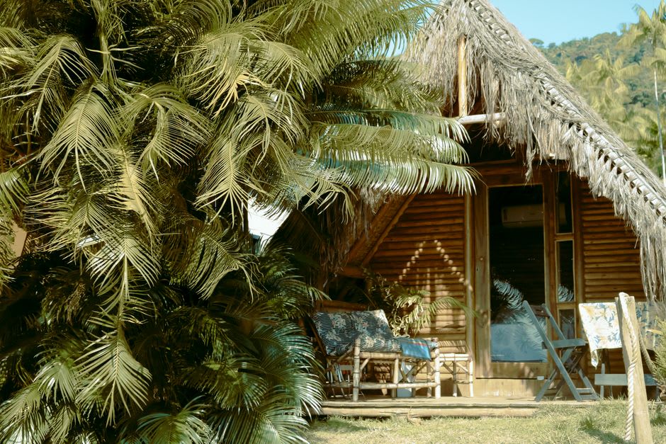 Wooden eco-bungalow with a thatched roof set among coastal forest