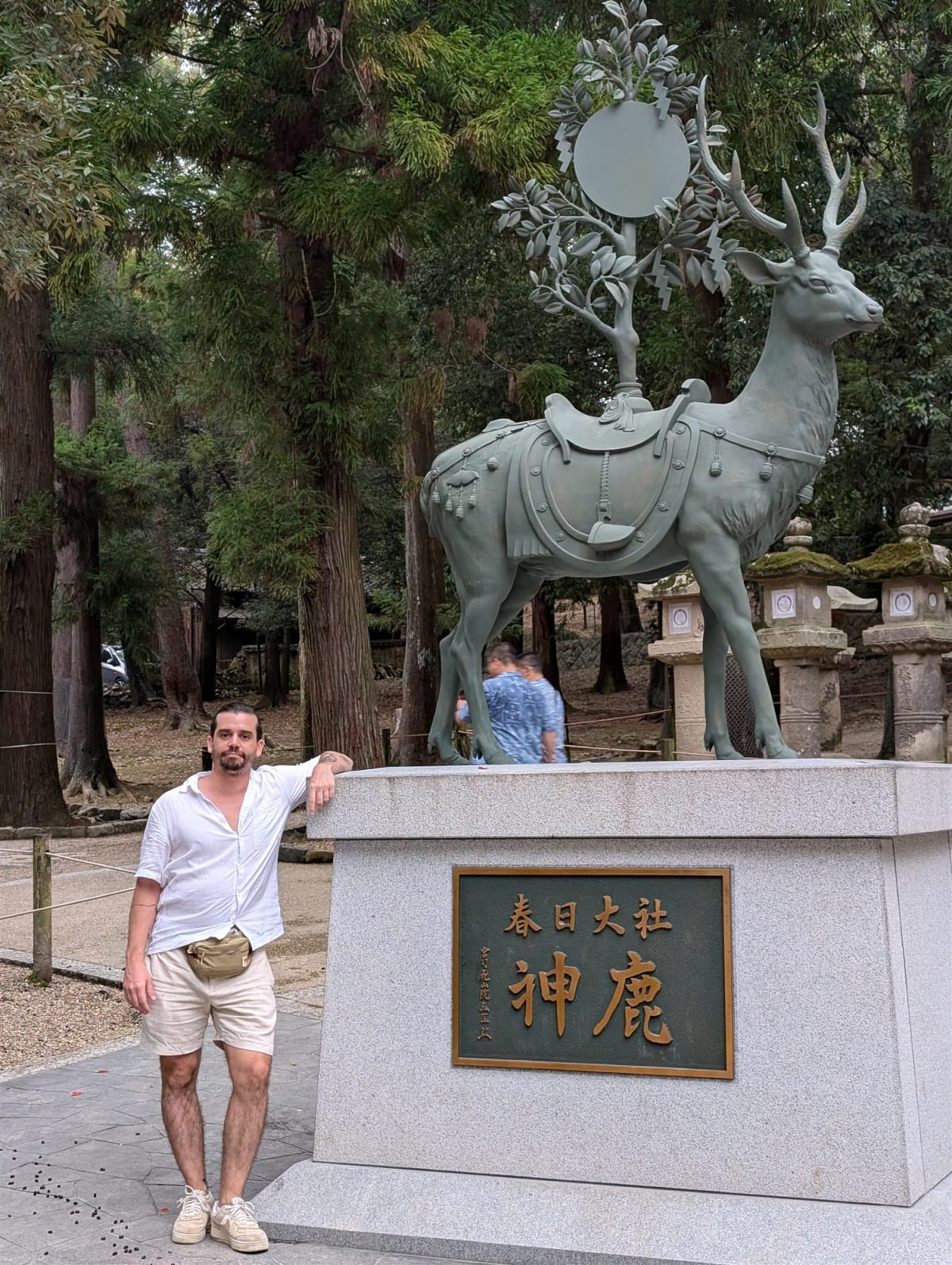 A bronze deer statue at the entrance to Kasuga Taisha, saddled as if for a rider, with stone lanterns visible in the cedar forest behind it