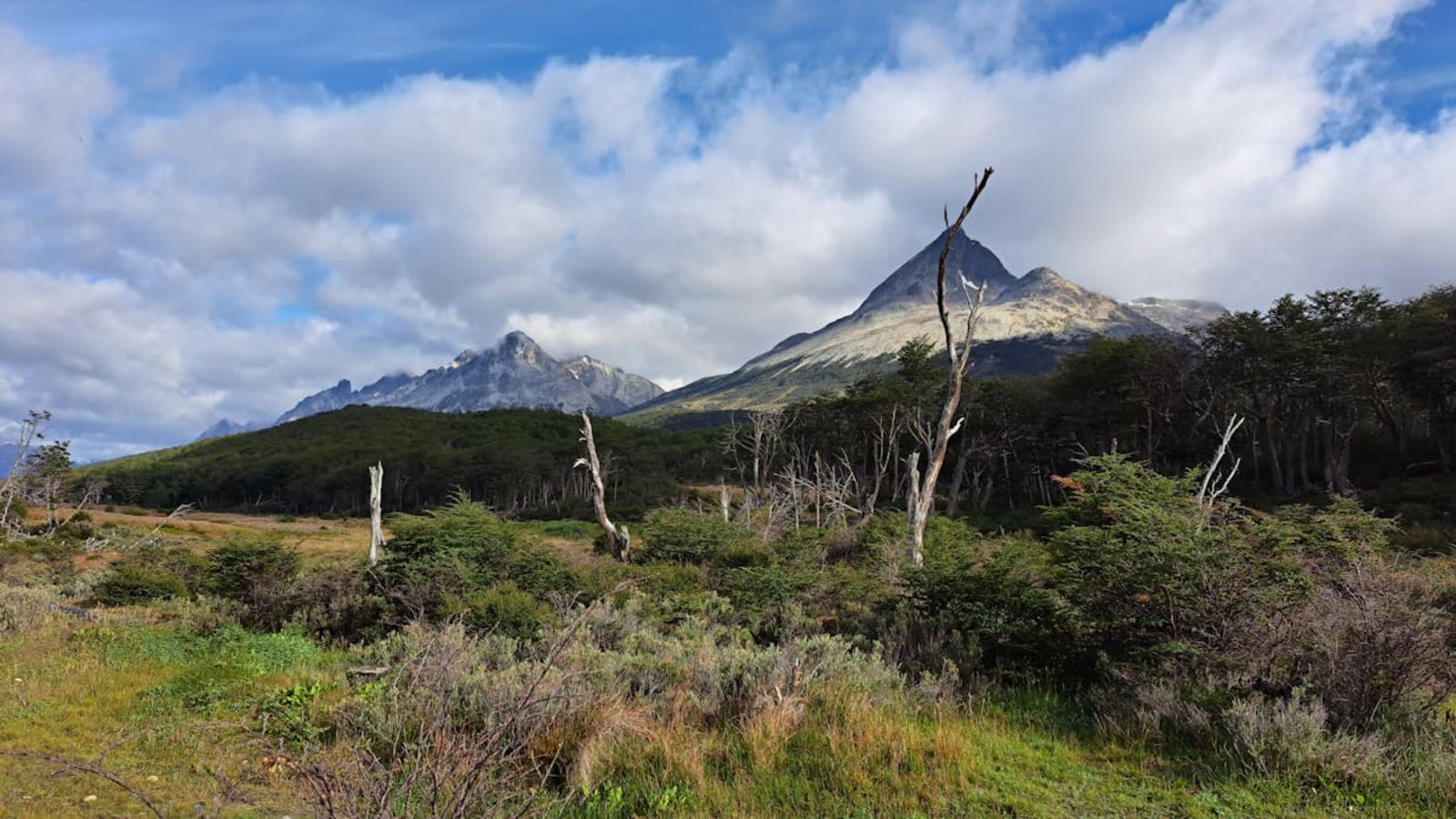 Argentina travel guide with Patagonian peaks and Buenos Aires street scenes