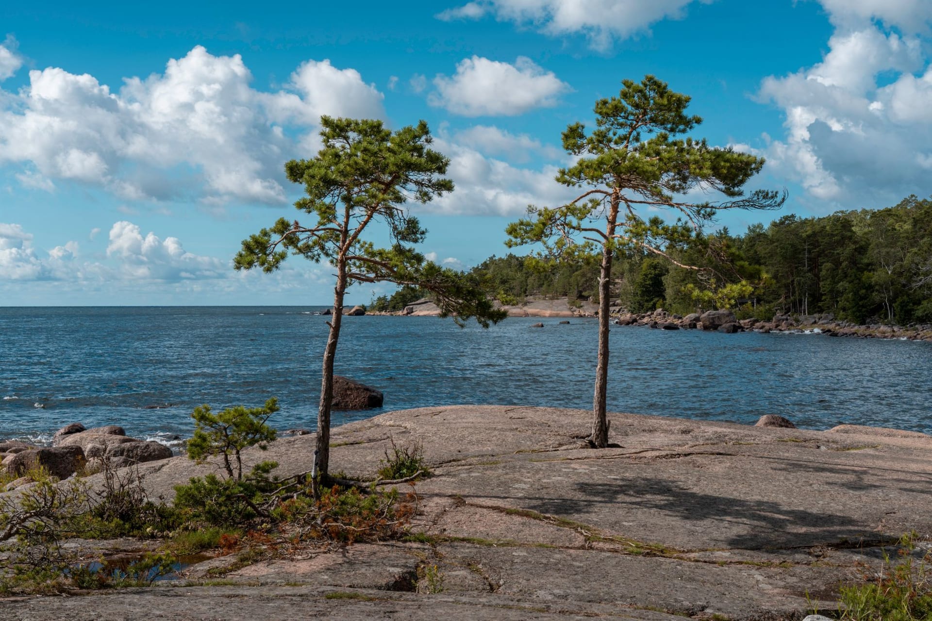 Rocky Finnish archipelago shoreline with smooth granite boulders, scattered pine trees, and a calm blue sea under a summer sky